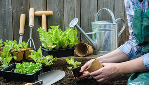Herramientas indispensables para tu jardín