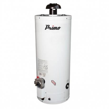 Calentador Boiler de Deposito 60 Litros IUSA 374223